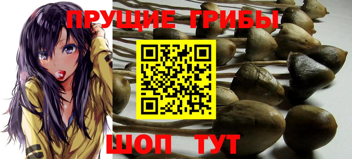 Галлюциногенные грибы ЛСД  Вход с VPN  Хабаровск 